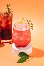 Plum Beverage Concentrate (Puree & Pulps) - 1.2kg