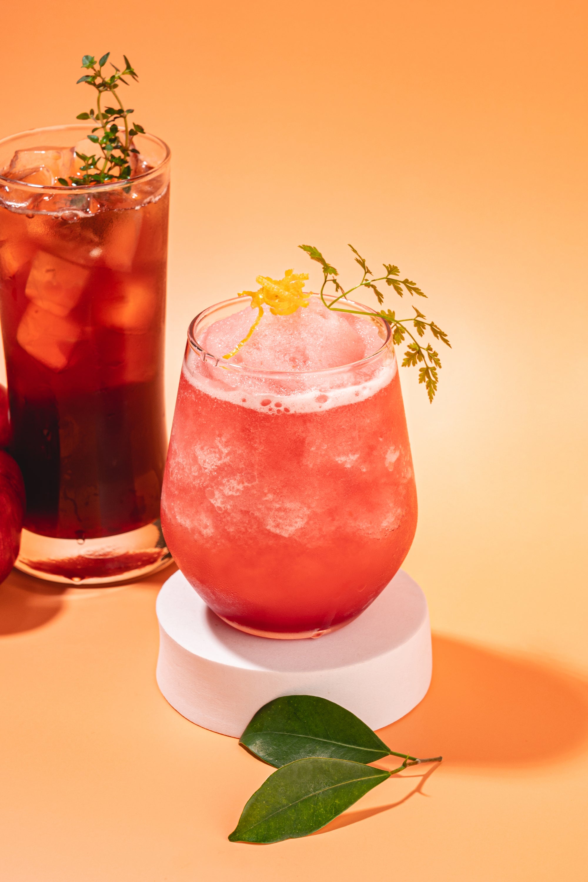 Plum Beverage Concentrate (Puree & Pulps) - 1.2kg